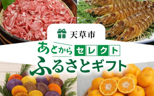 S999-004_あとからセレクト【ふるさとギフト】4万円