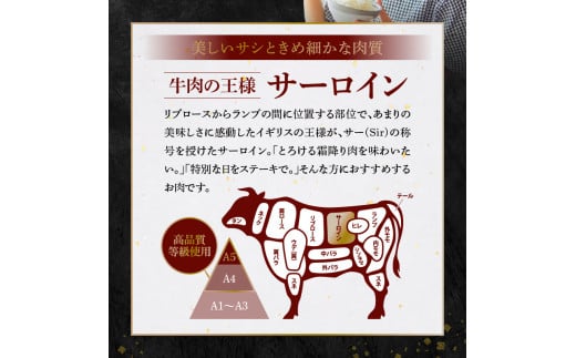 S001-022-T03_縲仙ョ壽悄萓ソ3蝗槭羨4縲廣5遲臥エ 鮟呈ッ帛柱迚 繧オ繝シ繝ュ繧、繝ウ繧ケ繝繝シ繧ュ 1譫夲シ300gシ峨◆繧1譛ャ莉
