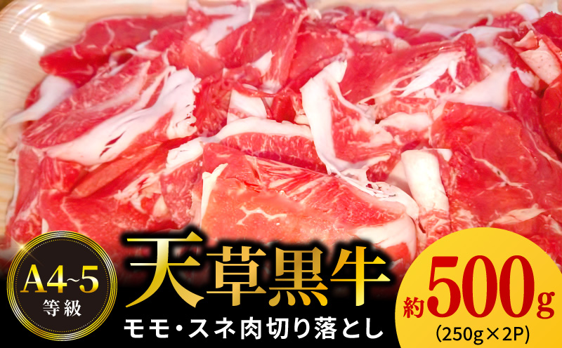 S074-016_天草黒牛 モモ・スネ肉 切り落とし 約500g (250g×2P)  黒毛和牛 A4〜5等級