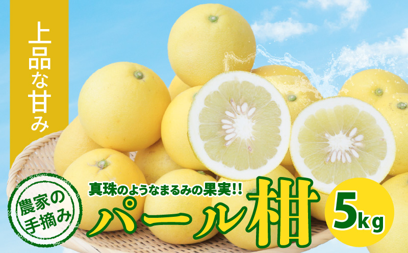 S040-031_農家の手摘み　パール柑　5kg