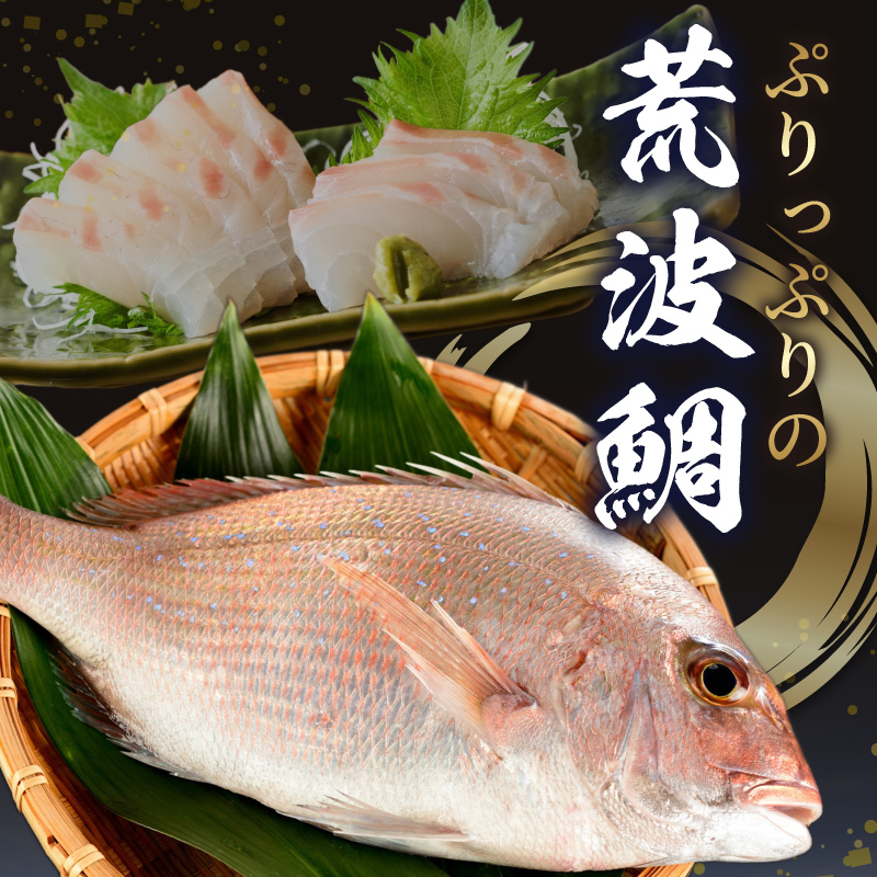 S006-016_魃帙°縺カ縺ィ辣ョ5蛟九そ繝繝