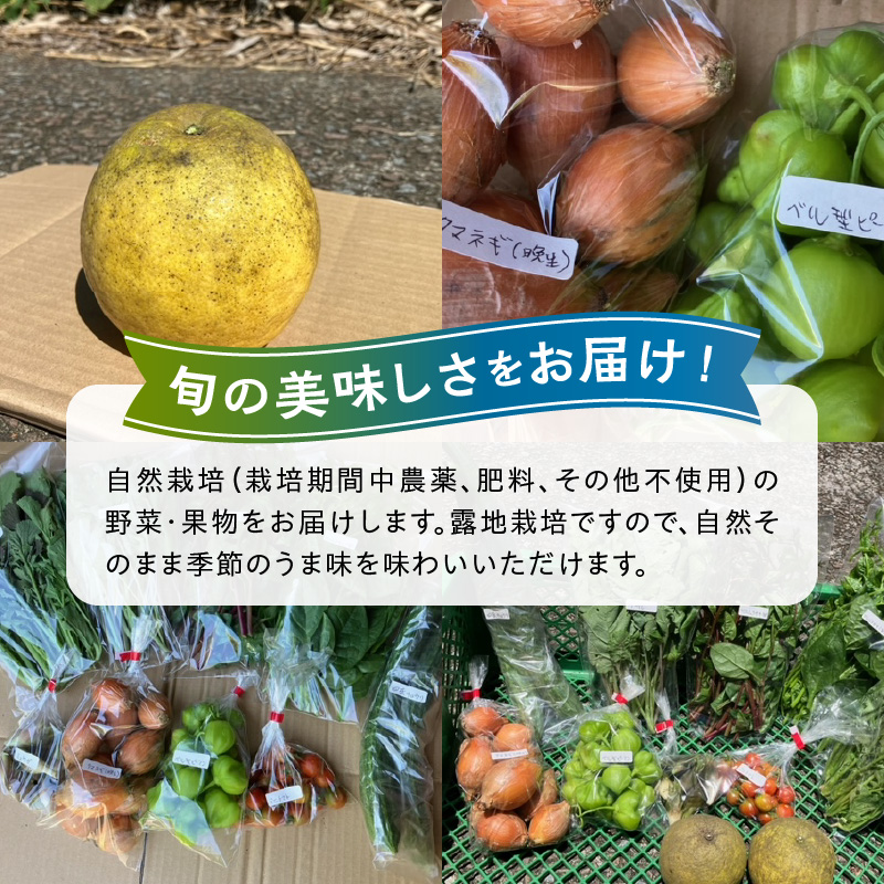 S096-004-T03_【定期便3回】季節のおまかせ野菜と果物セット