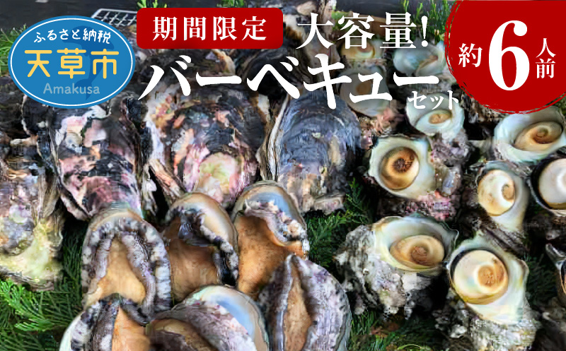 S002-021_【期間限定】大容量！天草の旬！バーベキューセット　約6人前