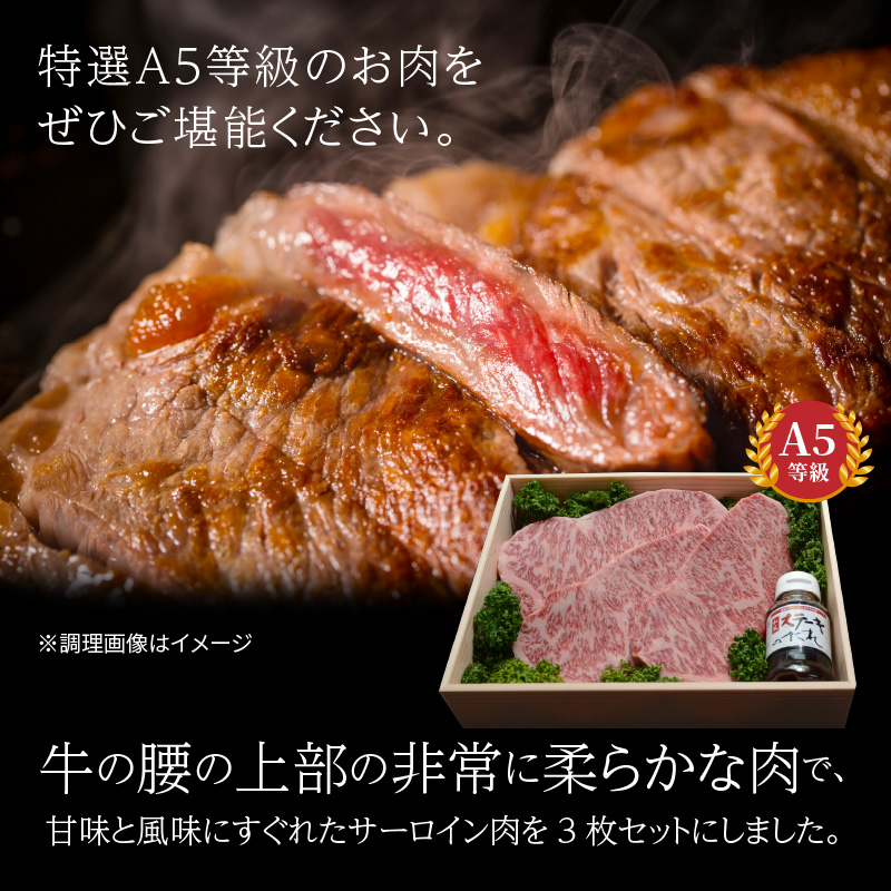 S001-002-T03_ãå®æäŸ¿3åã倩èç£ é»æ¯åç A5ççŽ ç¹éžãµãŒãã€ã³ã¹ããŒã 3æ