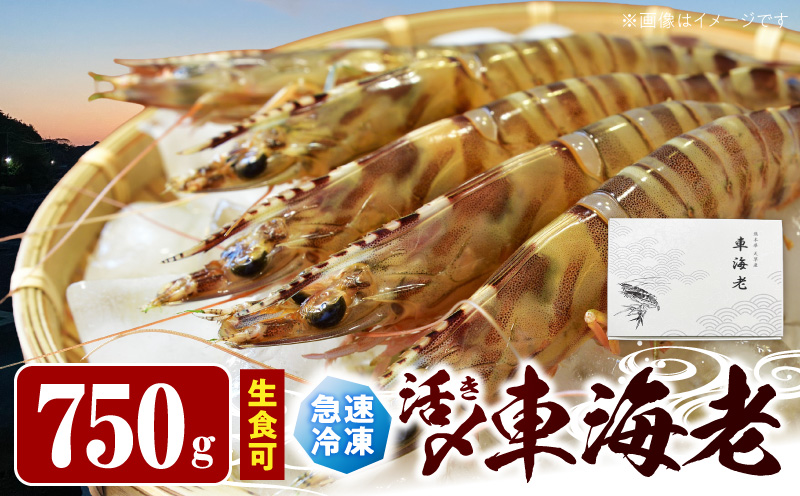 S187-003_生食可 活き〆急速冷凍車海老750g