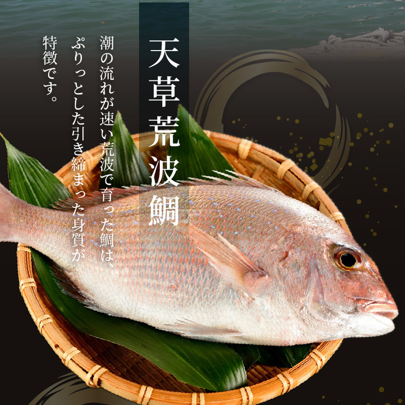 S006-012_貍∝クォ縺ョ豐悶a縺礼悄魃(70g)テ5陲