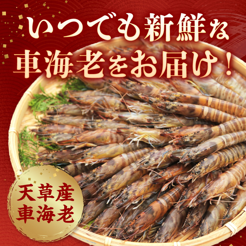 S065-006_豢サ縺阪蜀キ蜃崎サ頑オキ閠 500g