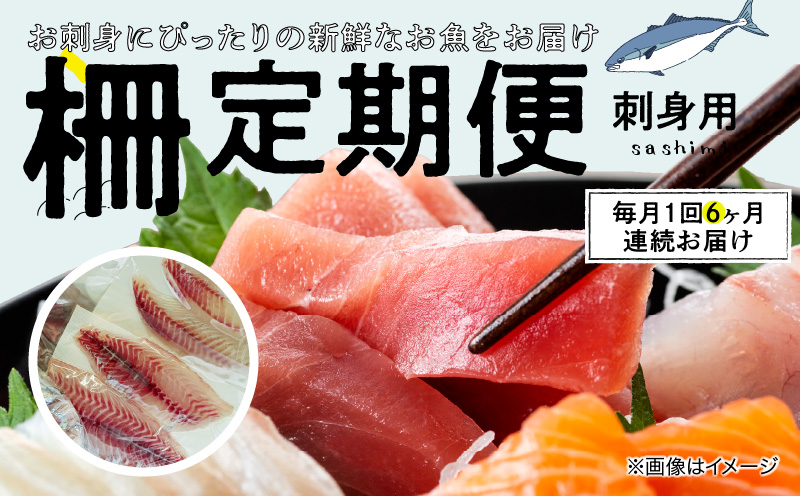S121-T01_【全6回　連続】お刺身用柵定期便