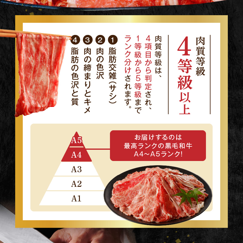 S001-034_A4〜A5等級 黒毛和牛 切り落とし 1.5kg（500g×3P）