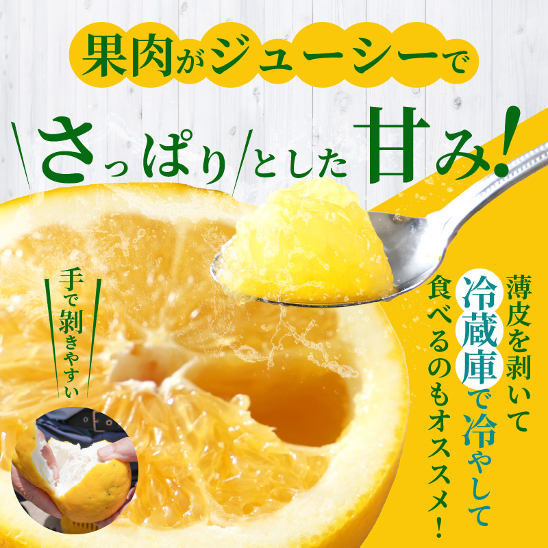 S040-024_【定期便3回】もぎたて！！ 愛情たっぷりあまくさ木成り晩柑食べ比べコース