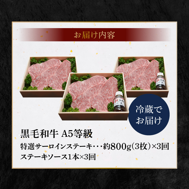 S001-002-T03_ãå®æäŸ¿3åã倩èç£ é»æ¯åç A5ççŽ ç¹éžãµãŒãã€ã³ã¹ããŒã 3æ