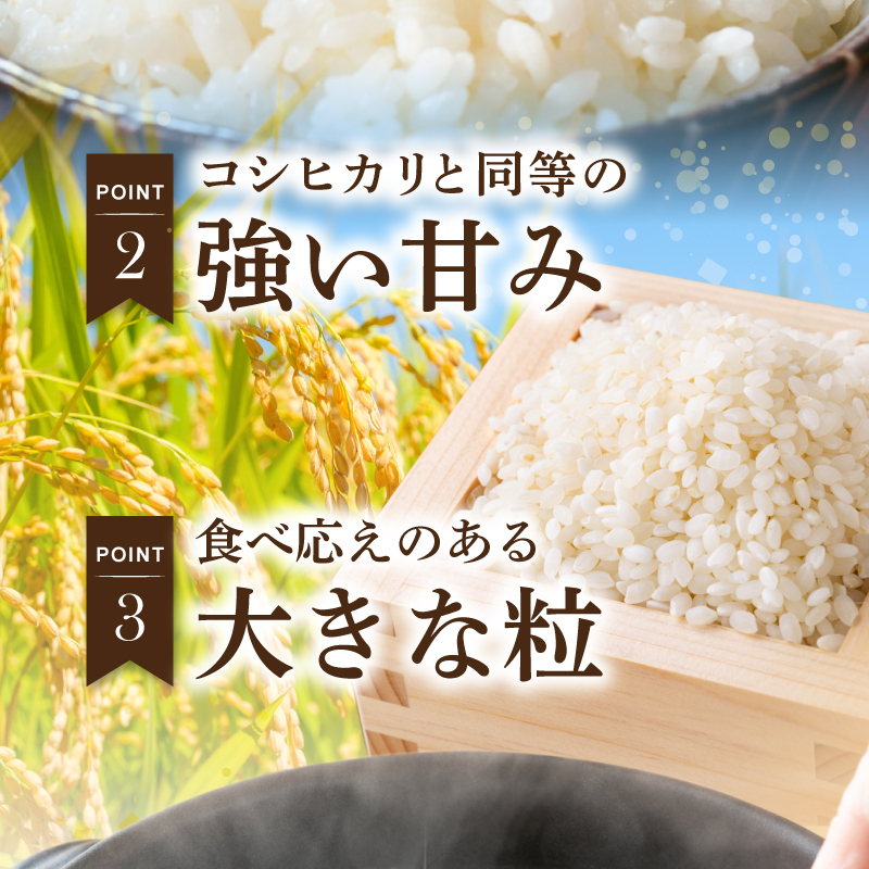 S050-012_【令和8年産】鏡さんちのお米「にじのきらめき」精米5kg