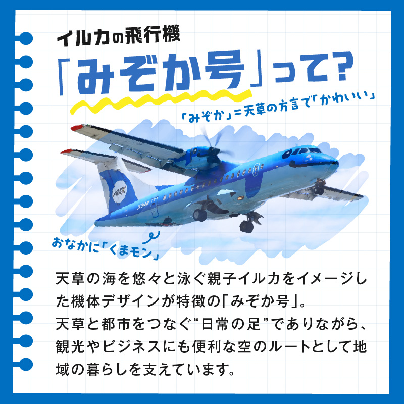 S035-010_イルカの飛行機「天草エアライン」天草空港内での撮影会