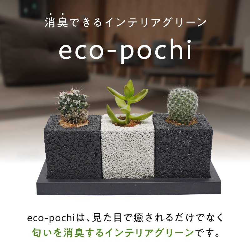 S060-122_ãã¥ãŒãã»ãã¥ãŒãªãªãäžçåã®æ¶èã°ãªãŒã³(ãµããã³ã»å€èæ€ç©ïŒ