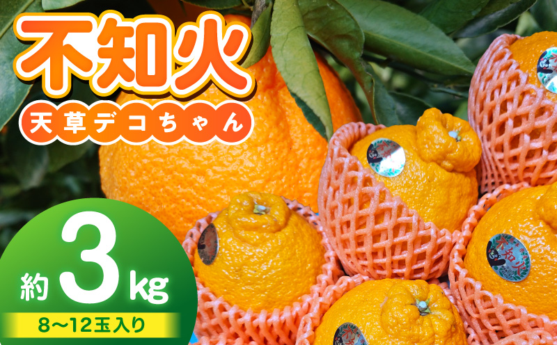 S153-001_天草産 不知火 約3kg