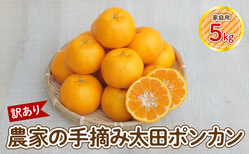 S040-027_【訳あり】農家の手摘み 太田 ポンカン 家庭用約5kg