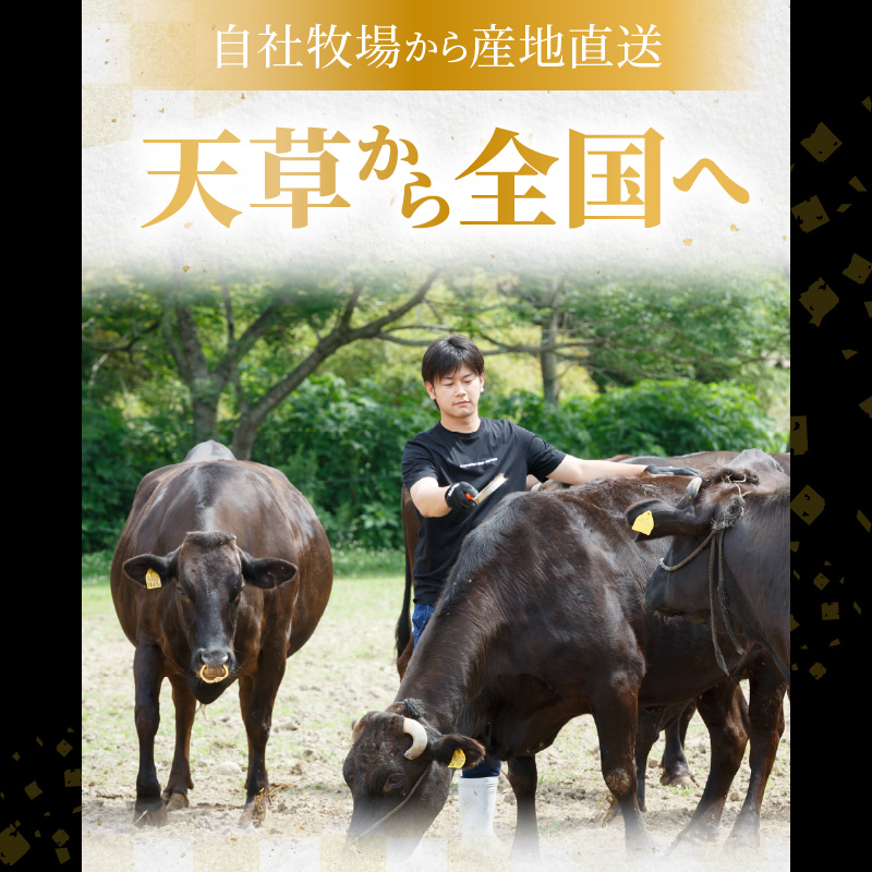 S001-002_天草産 黒毛和牛 A5等級 特選サーロインステーキ 3枚入