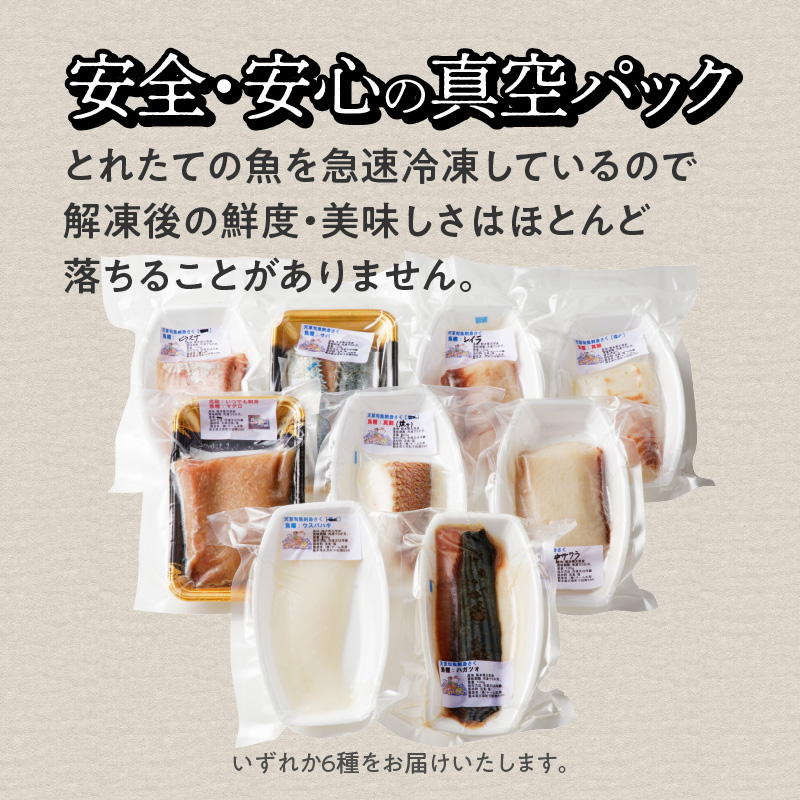 S059-015_天草わくわく旬魚刺身づくし（さく）8〜9人前