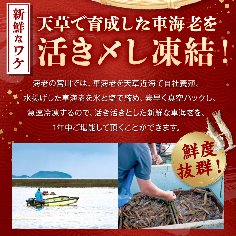 S065-006_豢サ縺阪蜀キ蜃崎サ頑オキ閠 500g