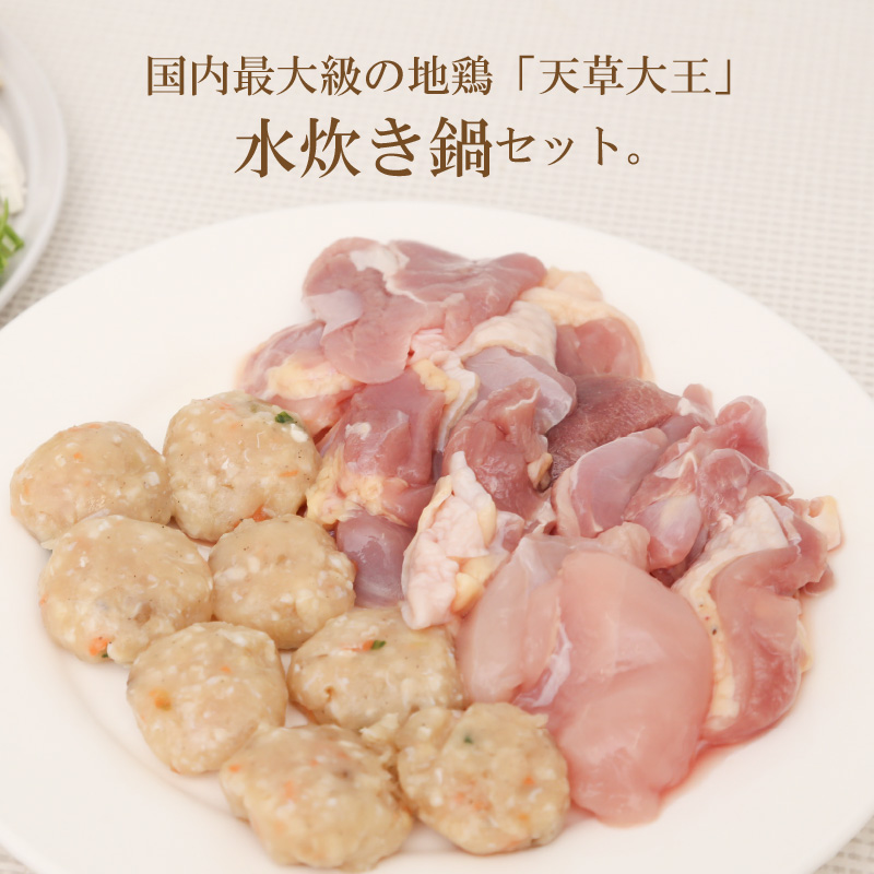 S011-024_倩è倧çéã»ãã(倩è倧çé¶èã»å€©èå€§çæ¿çž®ã¹ãŒãã»å€©è倧çã€ã¿ãç)