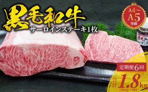 S001-022-T06_【定期便6回】A4〜A5等級 黒毛和牛 サーロインステーキ 1枚（300g）たれ1本付