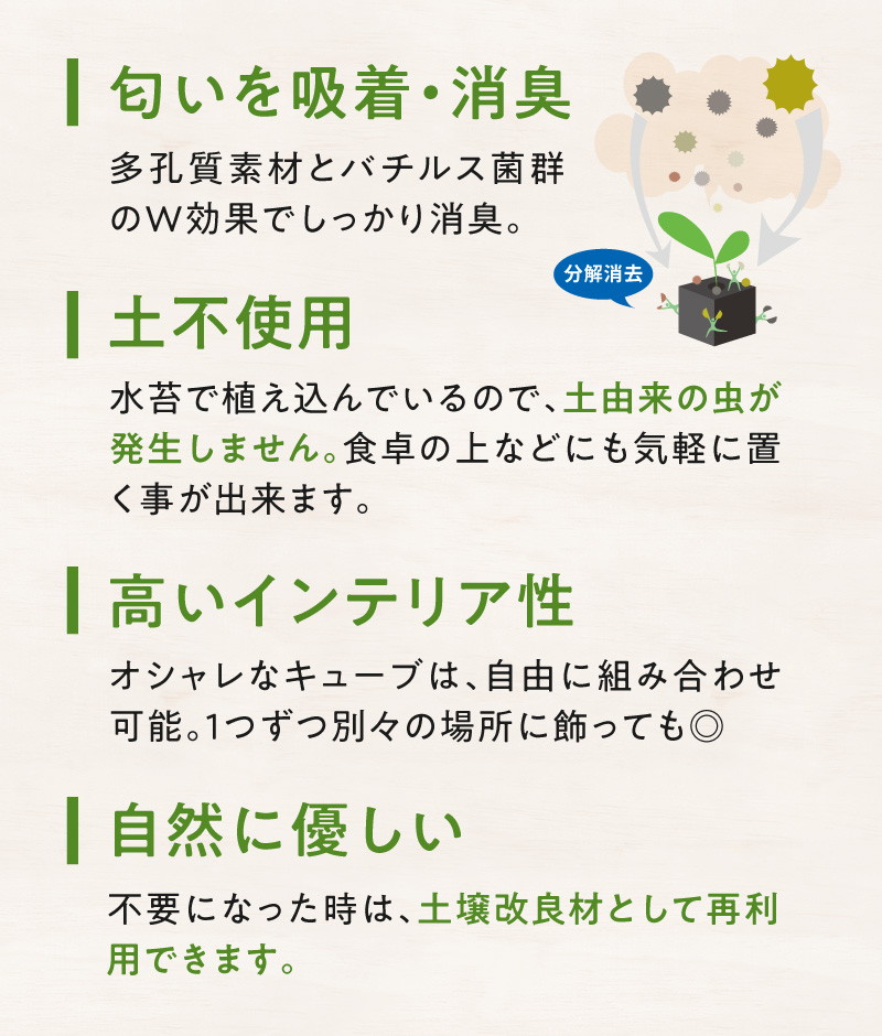 S060-122_ãã¥ãŒãã»ãã¥ãŒãªãªãäžçåã®æ¶èã°ãªãŒã³(ãµããã³ã»å€èæ€ç©ïŒ