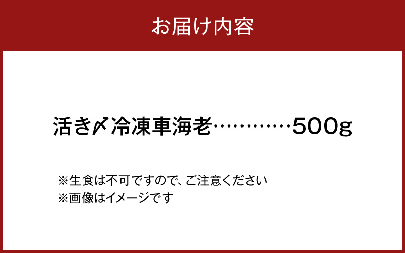 S065-006_豢サ縺阪蜀キ蜃崎サ頑オキ閠 500g