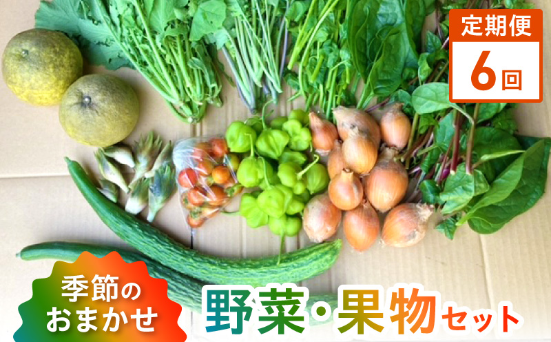 S096-004-T06_【定期便6回】季節のおまかせ野菜と果物セット