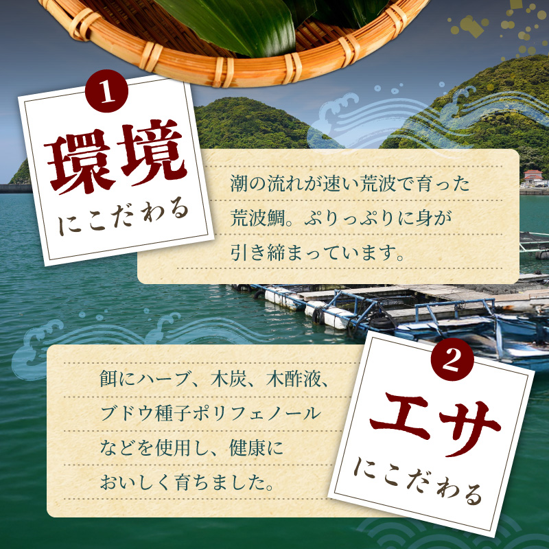 S006-016_魃帙°縺カ縺ィ辣ョ5蛟九そ繝繝