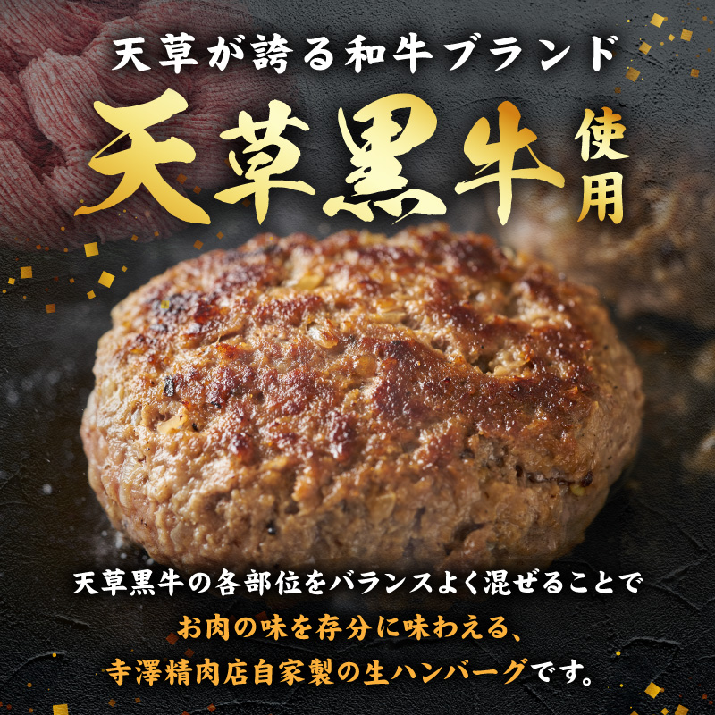 S074-017_天草黒牛生ハンバーグ