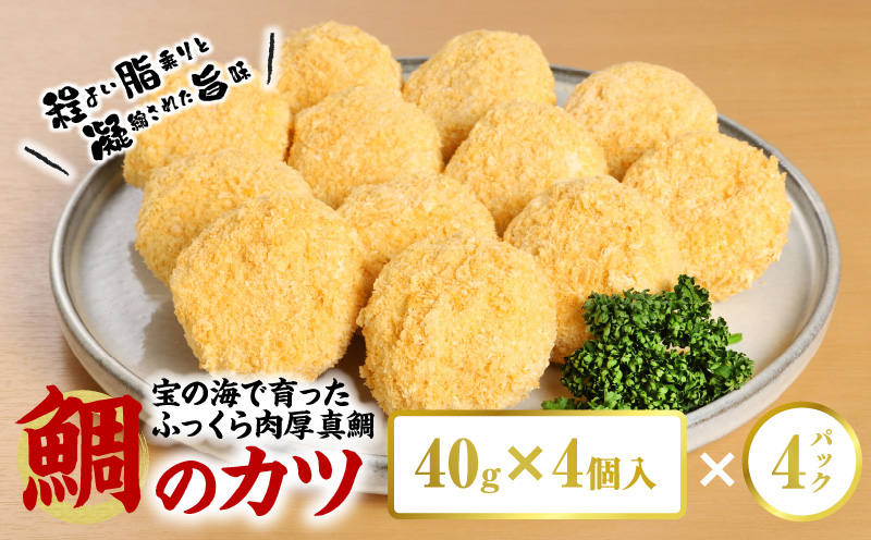 S106-028_鯛のかつ/4パック