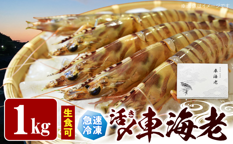 S187-004_生食可 活き〆急速冷凍車海老1kg