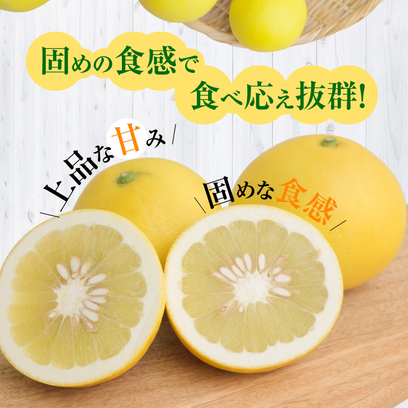 S040-031_農家の手摘み　パール柑　5kg