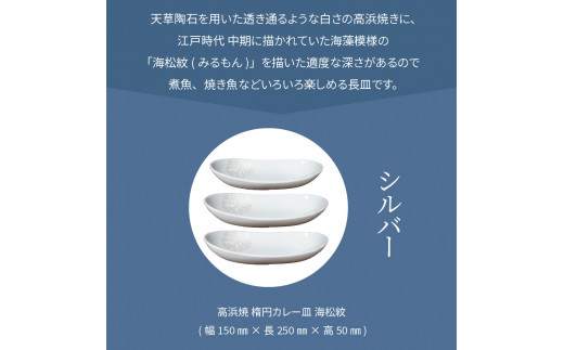 S026-159_天草 高浜焼 楕円カレー皿 3枚（シルバー）