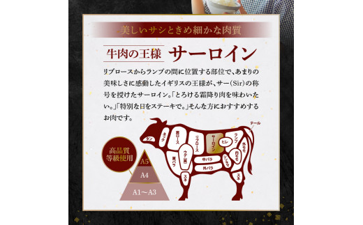 S001-022-T12_縲仙ョ壽悄萓ソ12蝗槭羨4縲廣5遲臥エ 鮟呈ッ帛柱迚 繧オ繝シ繝ュ繧、繝ウ繧ケ繝繝シ繧ュ 1譫夲シ300gシ峨◆繧1譛ャ莉