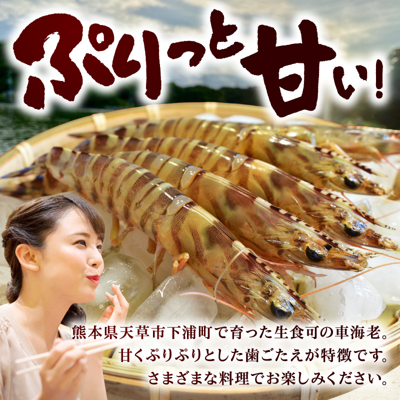 S187-004_生食可 活き〆急速冷凍車海老1kg