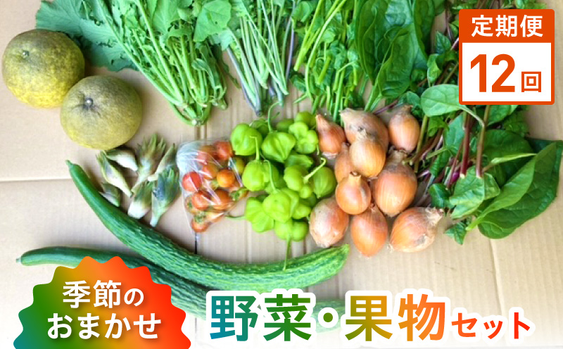 S096-004-T12_【定期便12回】季節のおまかせ野菜と果物セット