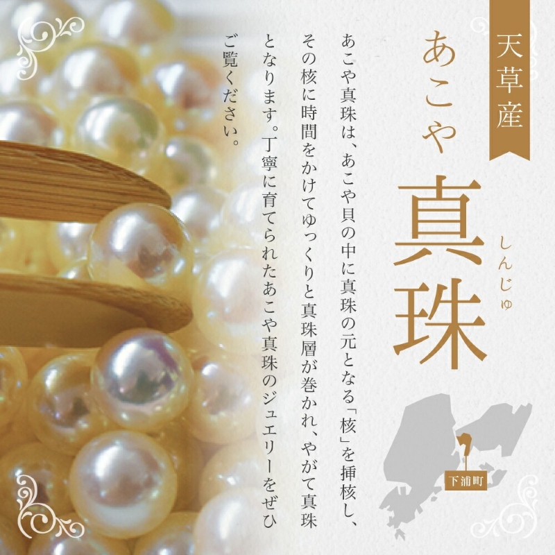 S085-390_あこや真珠 バロックパール 8mm - 9mm ネックレス チョーカー SV925 シルバー925 真珠 シンプル