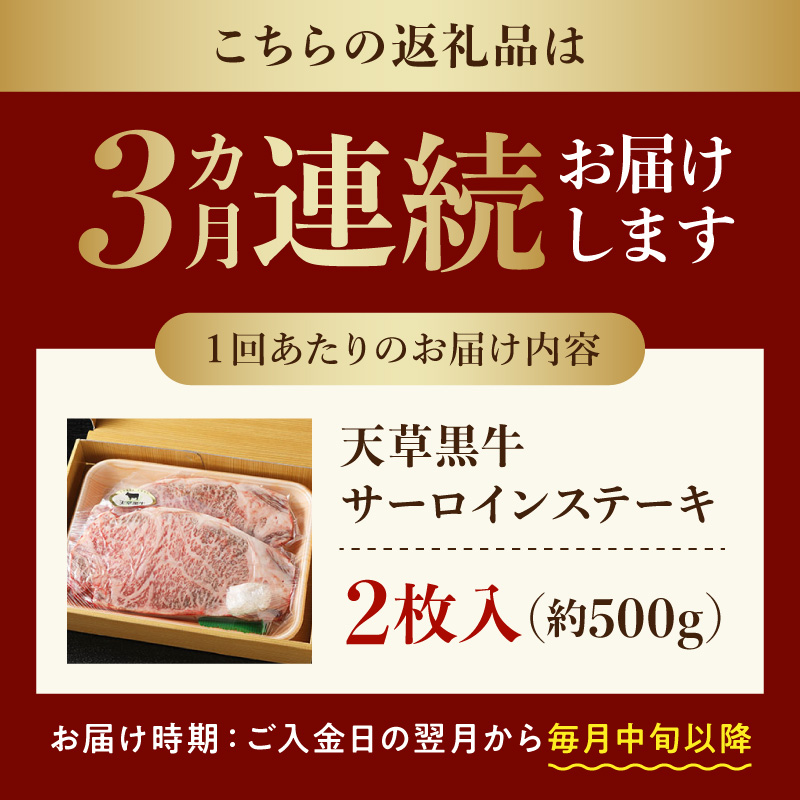 S074-013-T03_縲仙ョ壽悄萓ソ3蝗槭大、ゥ闕蛾サ堤央 繧オ繝シ繝ュ繧、繝ウ 繧ケ繝繝シ繧ュ 2譫壼・ 邏500g 鮟呈ッ帛柱迚 A4縲5遲臥エ