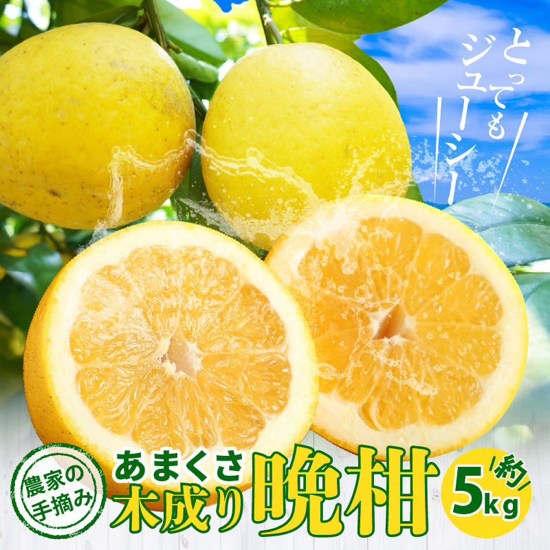 S040-032_èŸ²å®¶ã®ææã¿ãããŸããæšæãæ©æã5kg