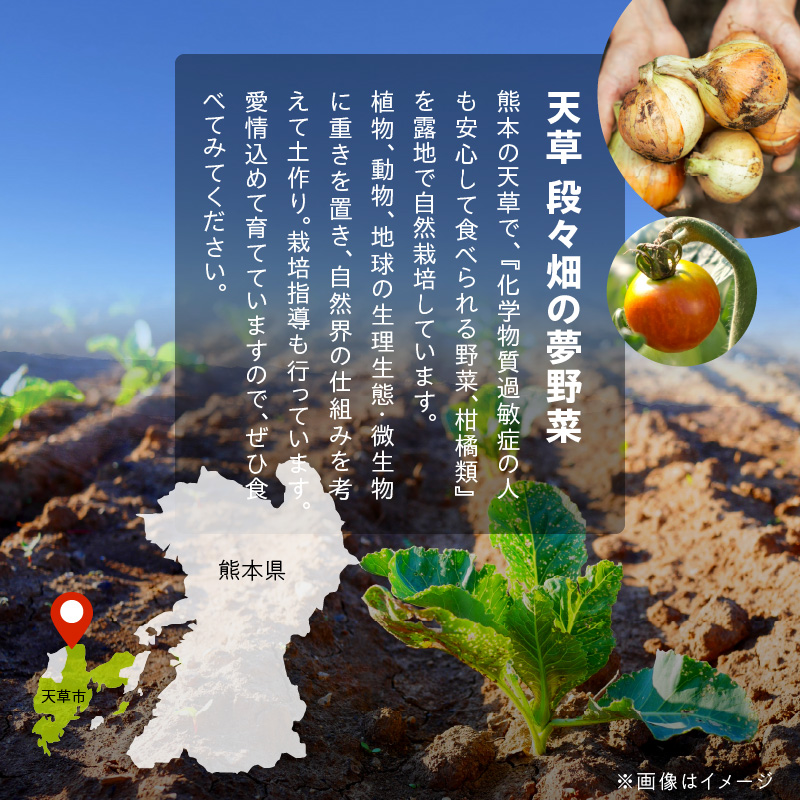 S096-004-T06_縲仙ョ壽悄萓ソ6蝗槭大ュ」遽縺ョ縺翫∪縺九○驥手除縺ィ譫懃黄繧サ繝繝