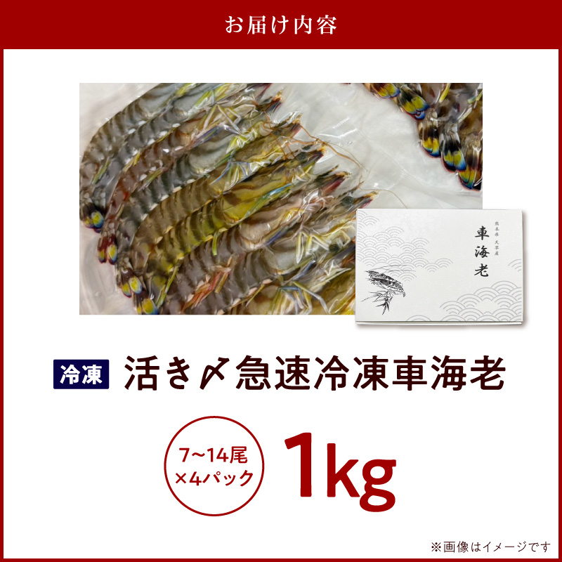 S187-004_生食可 活き〆急速冷凍車海老1kg