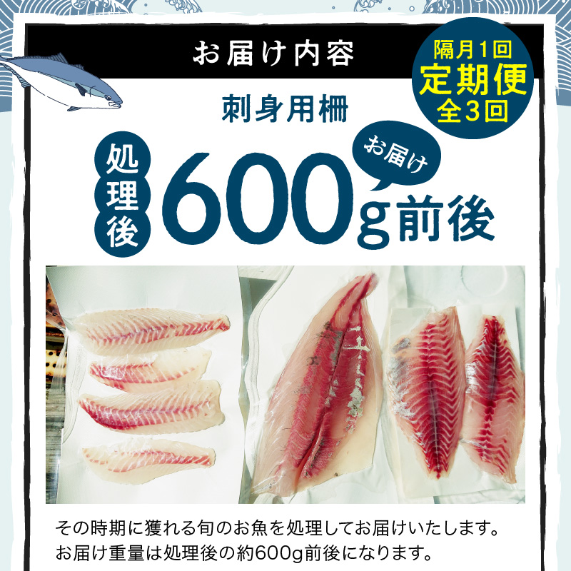 S121-T04_【隔月　3回お届け】天草天然鮮魚を直送　お刺身用柵定期便