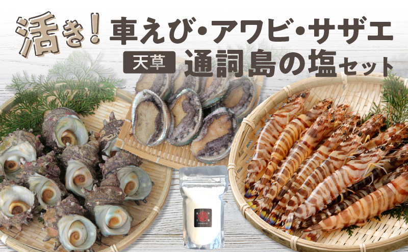 S002-004_蒼海セット(活き車海老・活きあわび・活きサザエ・天然塩)〈先行受付〉