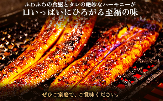 鰻の名店『うな雅』国産 手焼き 鰻【上】かば焼き 2尾 300g〜350g【めぐみ食品】【配送不可地域：離島】【1600551】