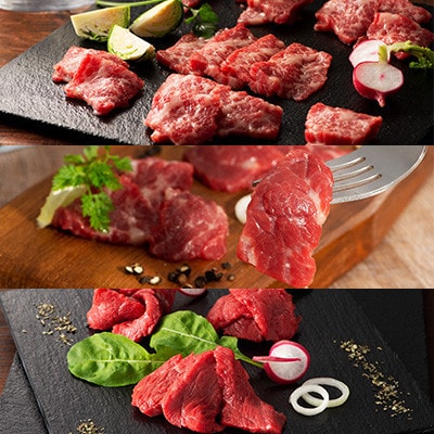 「熊本特産」フジチク厳選ふじ馬刺し6種セット(美里町)【配送不可地域：離島】【1607852】