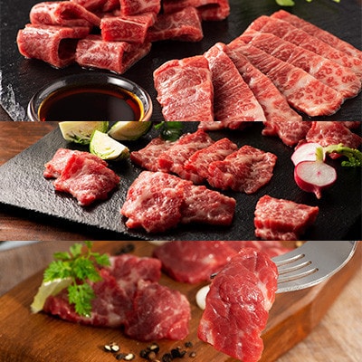 「本場・熊本」霜降り馬刺しと赤身の贅沢6種セット(美里町)【配送不可地域：離島】【1607908】