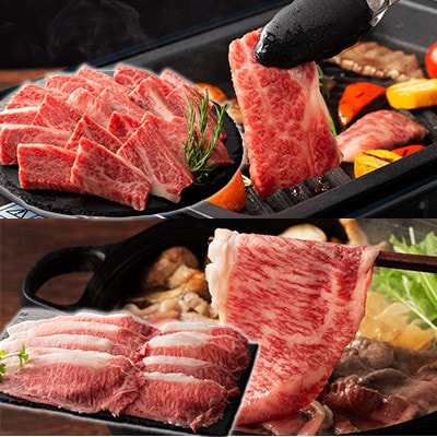 くまもと黒毛和牛「藤彩牛」サーロインステーキと2種の食べ比べ(美里町)【配送不可地域：離島】【1608105】