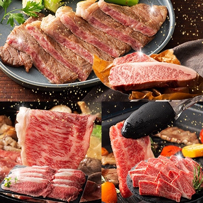【ギフトボックス】くまもと黒毛和牛「藤彩牛」サーロインステーキと2種の食べ比べ(美里町)【配送不可地域：離島】【1742039】
