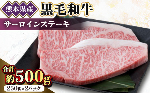 【黒毛和牛】熊本県産　サーロインステーキ　500g(250g×2パック)　(美里町)【配送不可地域：離島】【1527970】
